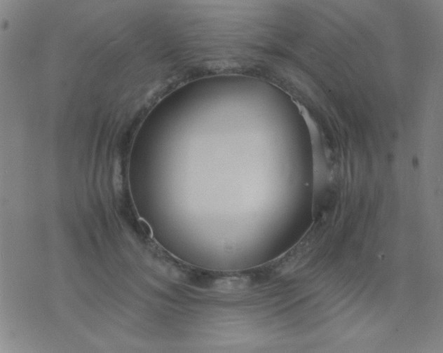 X0000075840700200610061847