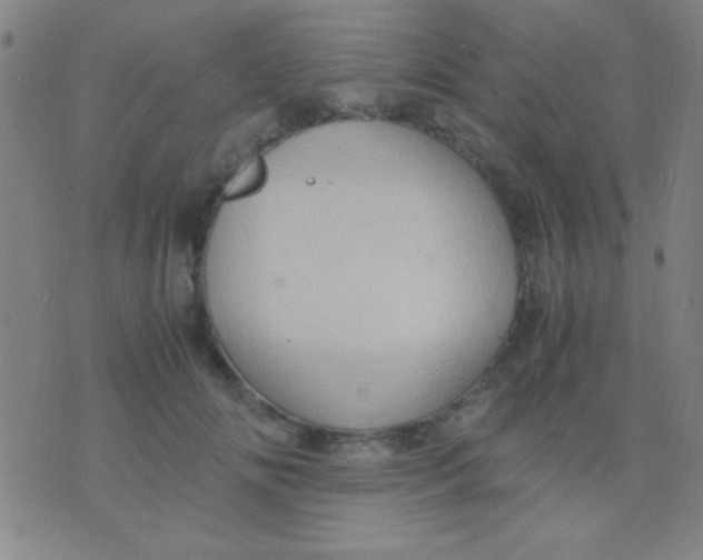 X0000075840702200610061847