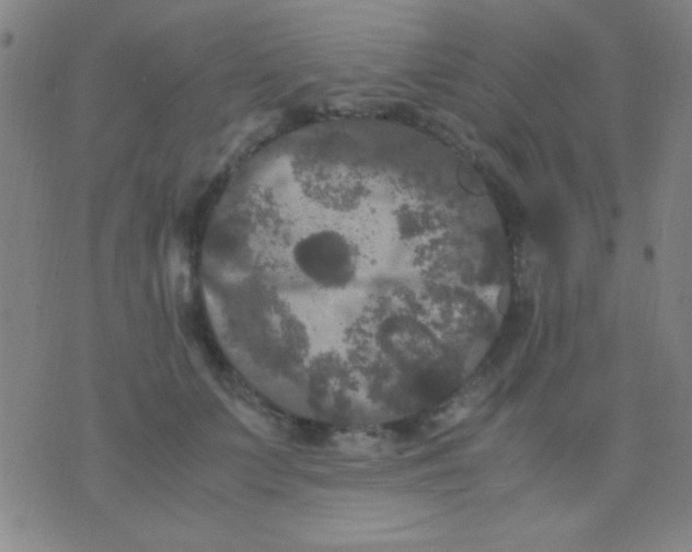 X0000075840703200610061847