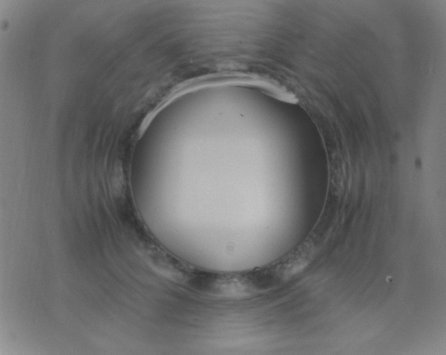 X0000075840704200610061847