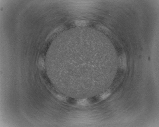 X0000075840705200610061847