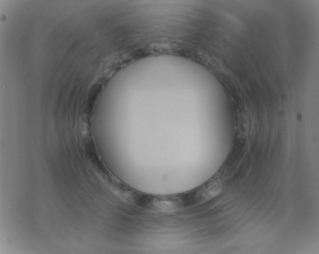 X0000075840706200610061847