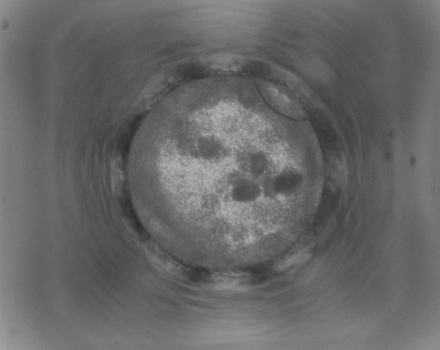 X0000075840707200610061847