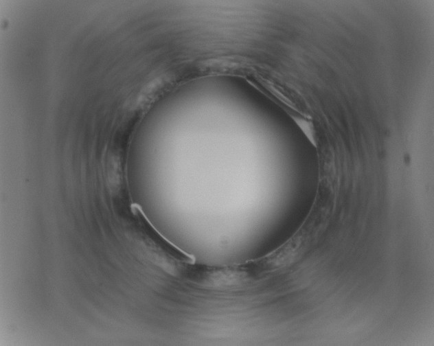 X0000075840708200610061847