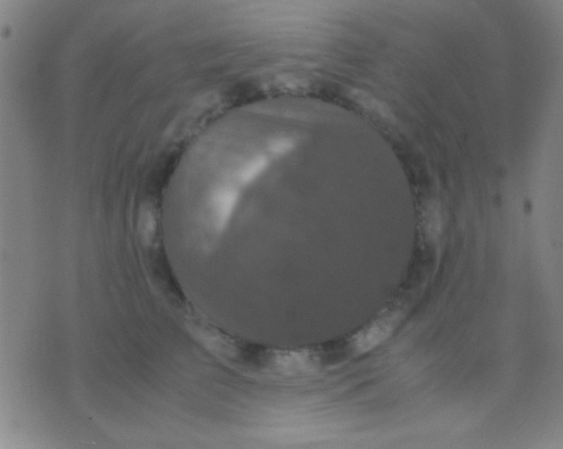 X0000075840709200610061847