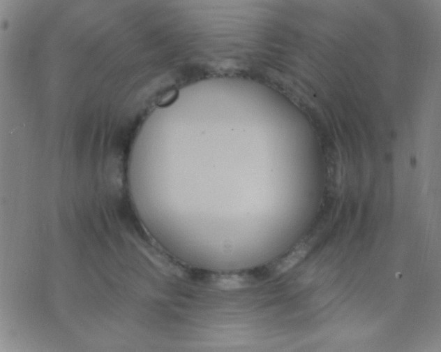 X0000075840710200610061847