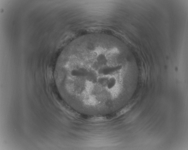 X0000075840711200610061847