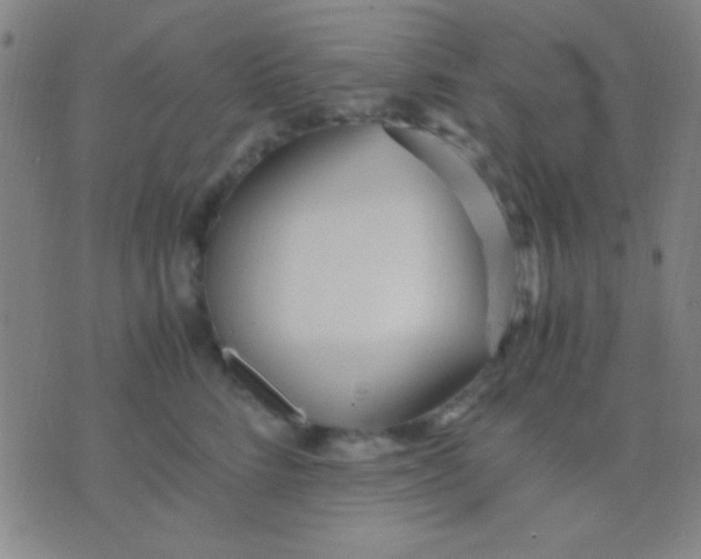 X0000075840712200610061847