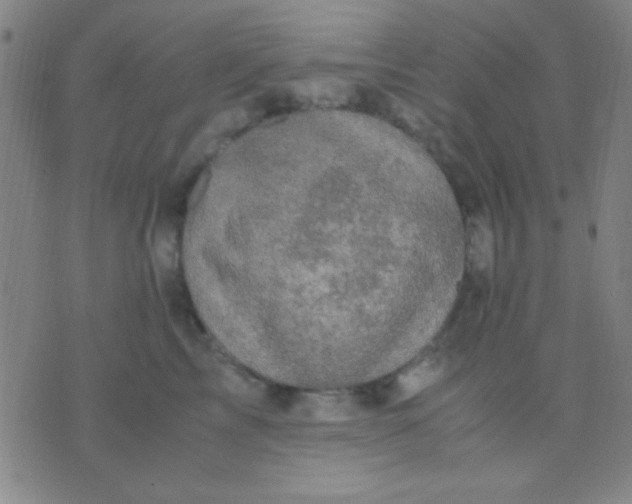 X0000075840713200610061847