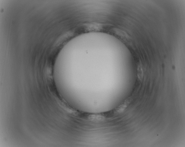 X0000075840714200610061847