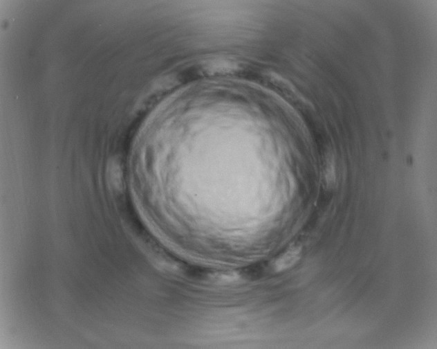 X0000075840715200610061847