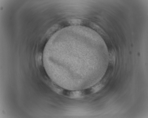 X0000075840717200610061847