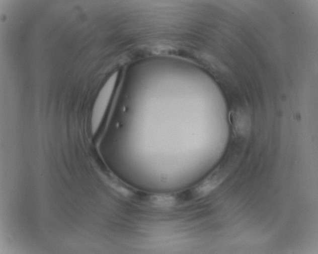 X0000075840719200610061847