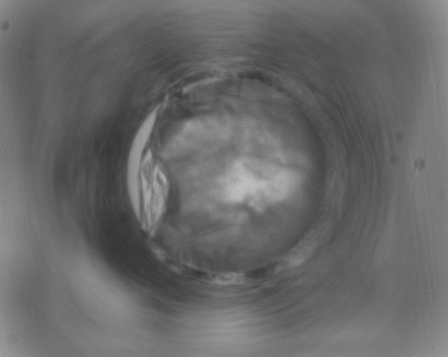 X0000075840720200610061847