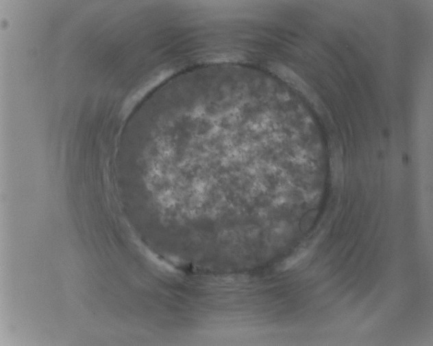 X0000075840721200610061846