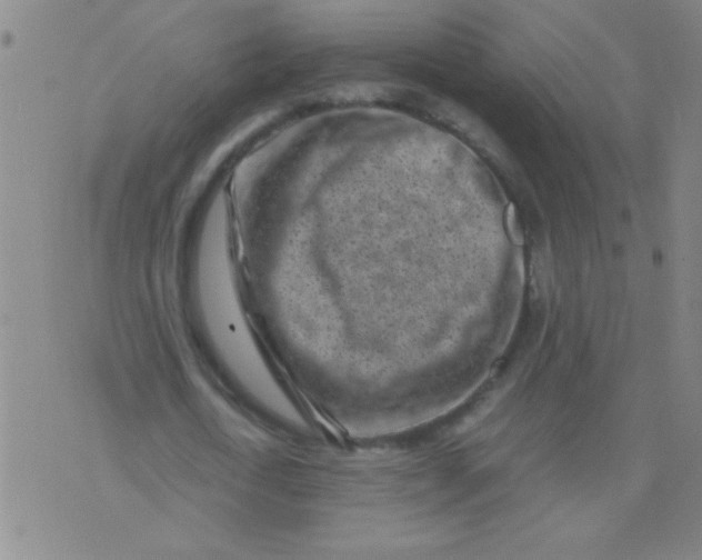 X0000075840722200610061846