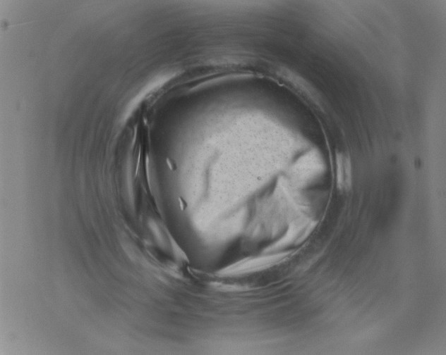 X0000075840723200610061846