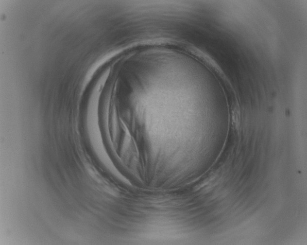 X0000075840724200610061846