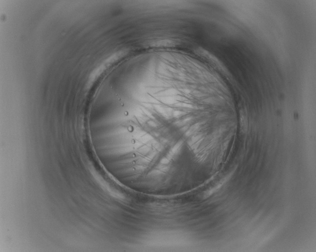 X0000075840725200610061846