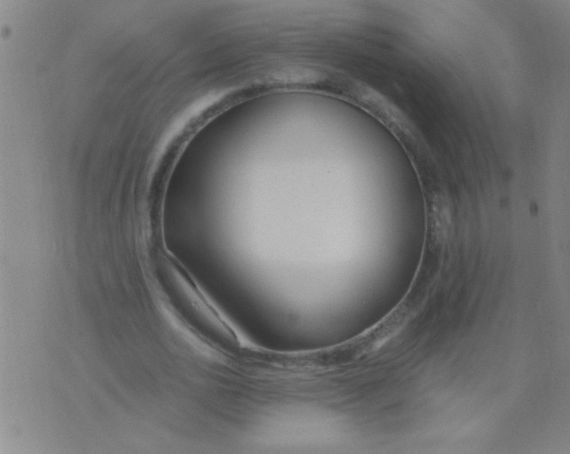 X0000075840726200610061846