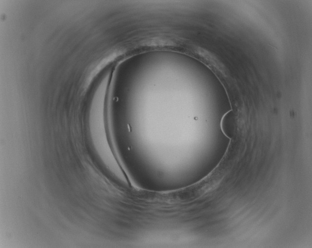 X0000075840727200610061846