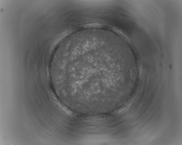 X0000075840729200610061846