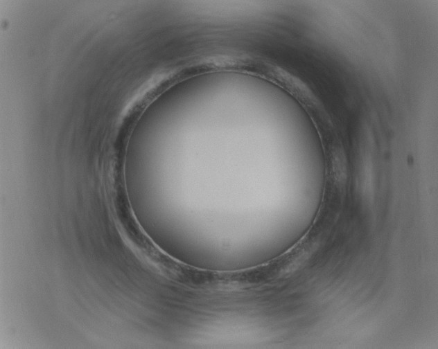 X0000075840730200610061846