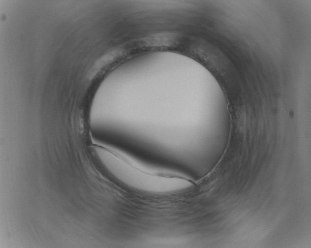 X0000075840731200610061846