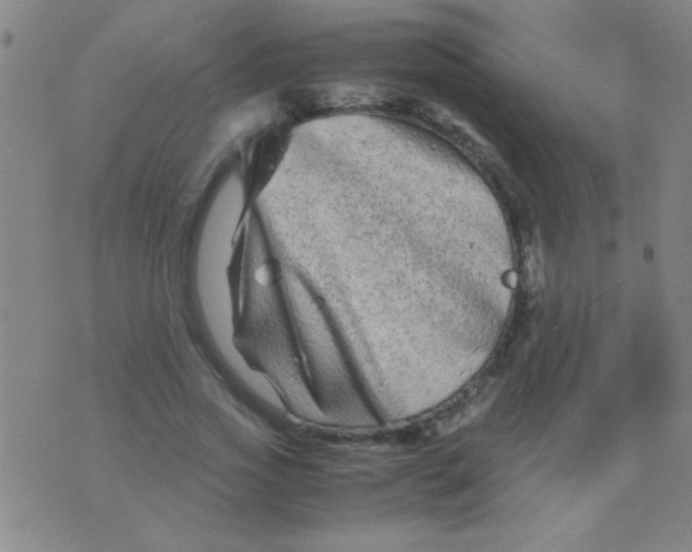 X0000075840733200610061846