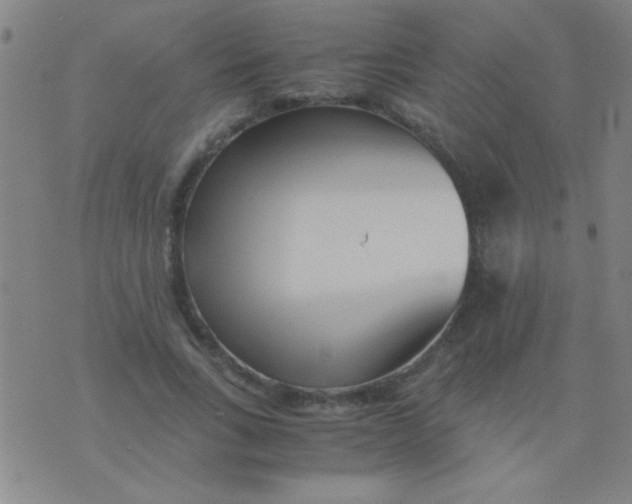 X0000075840735200610061846