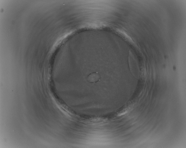 X0000075840736200610061846