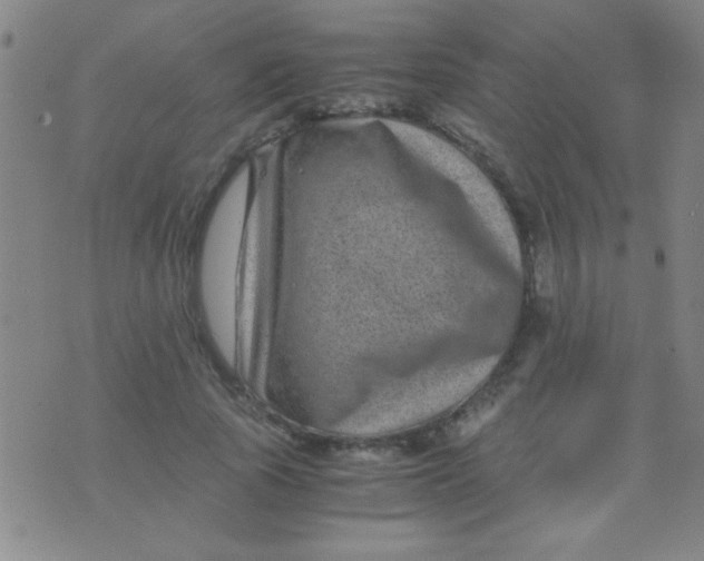 X0000075840737200610061846