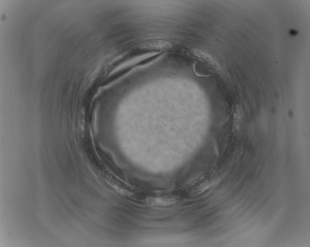 X0000075840739200610061846