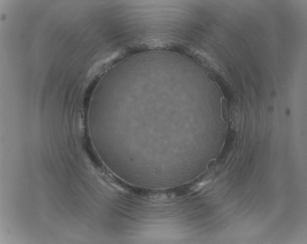 X0000075840740200610061846