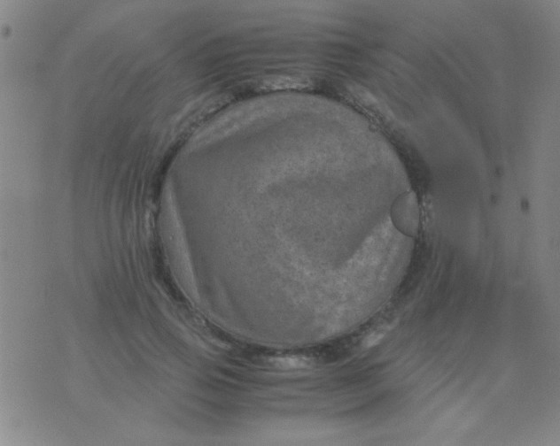 X0000075840741200610061846