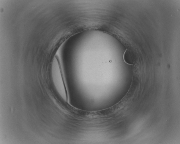 X0000075840742200610061846