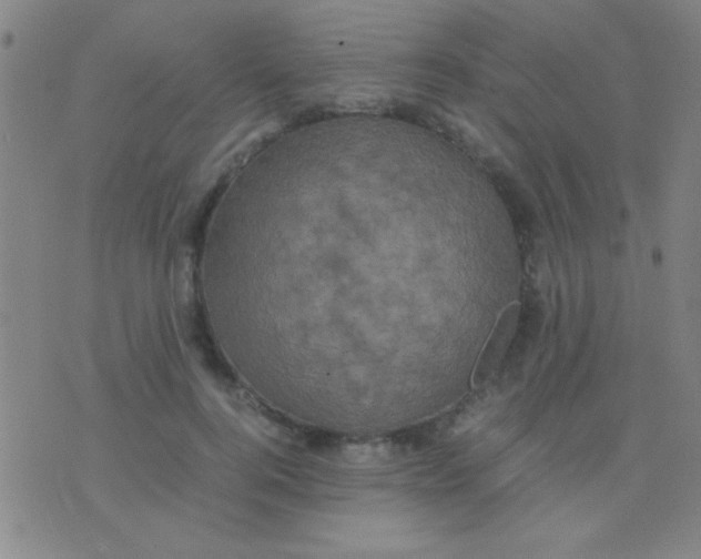 X0000075840744200610061846