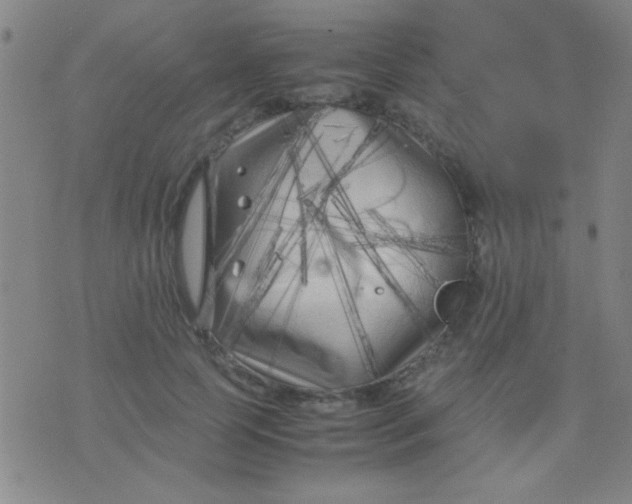 X0000075840745200610061846