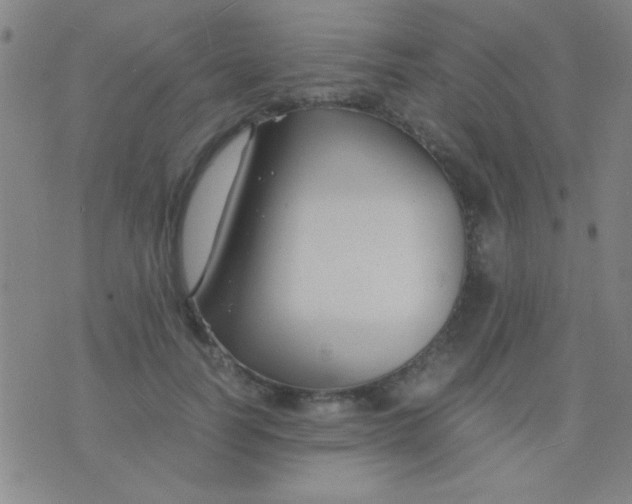 X0000075840746200610061847