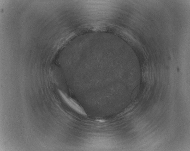 X0000075840748200610061847