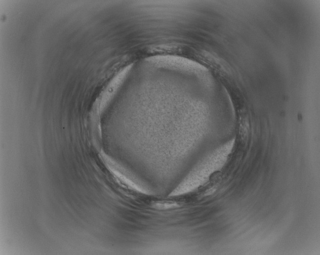 X0000075840749200610061847