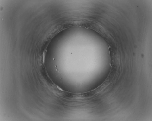 X0000075840750200610061847