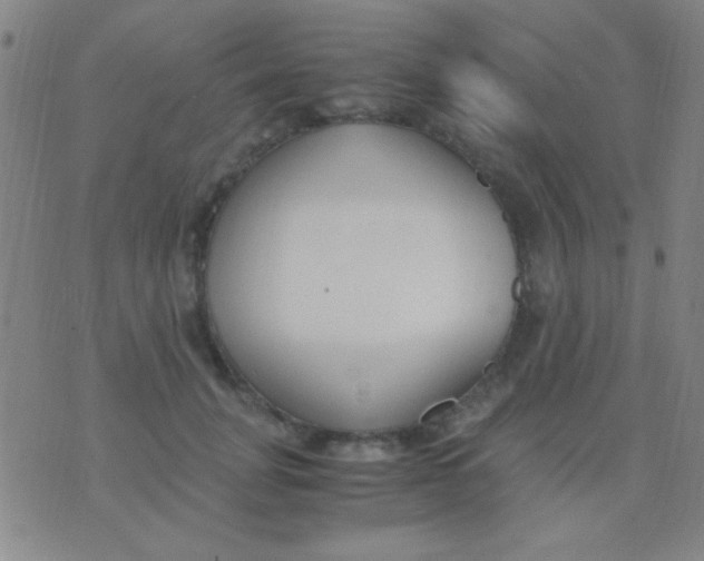 X0000075840751200610061847