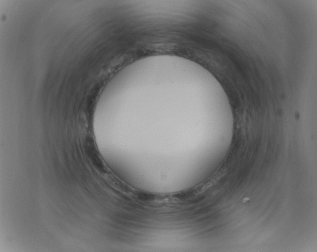 X0000075840752200610061847