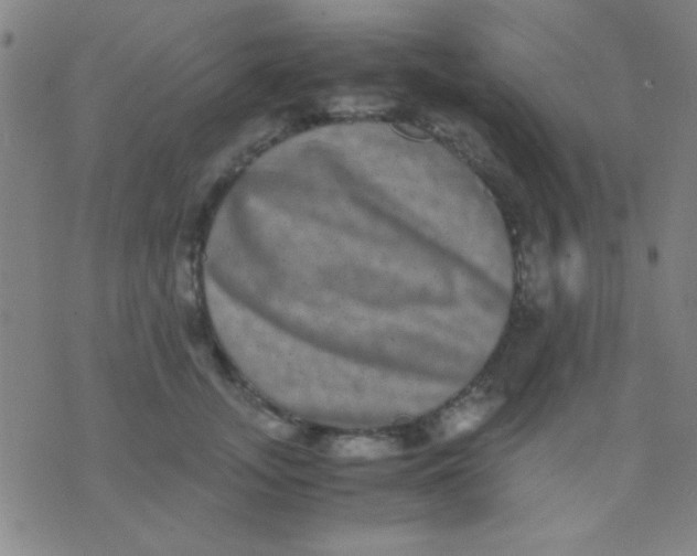 X0000075840755200610061847