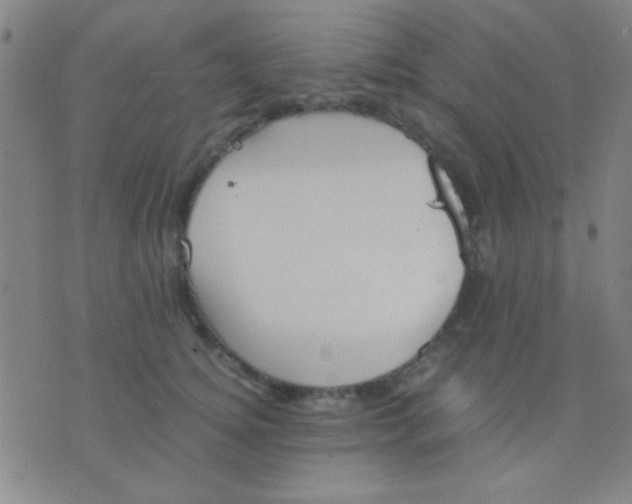 X0000075840756200610061847