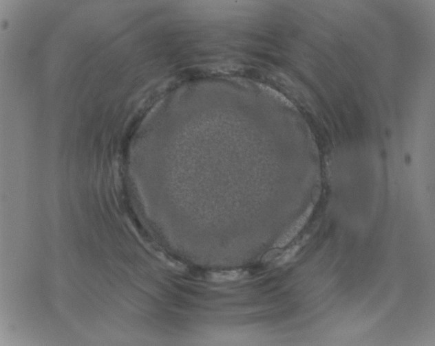 X0000075840757200610061847