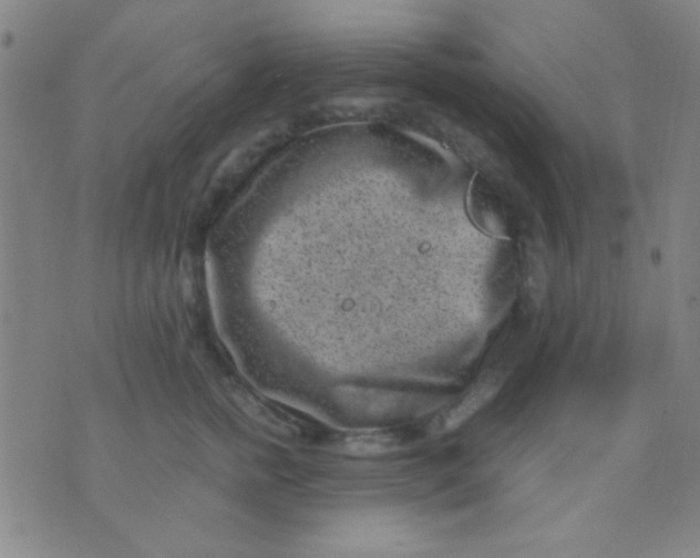 X0000075840758200610061847