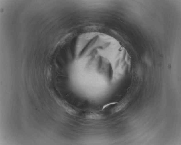 X0000075840759200610061847