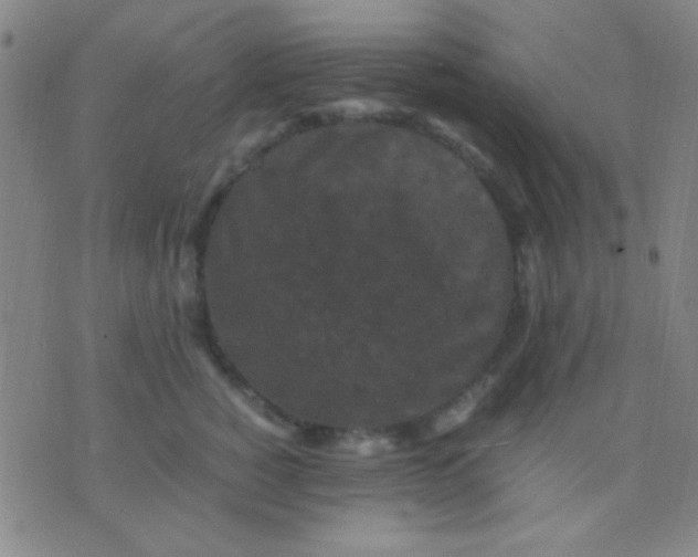 X0000075840760200610061847